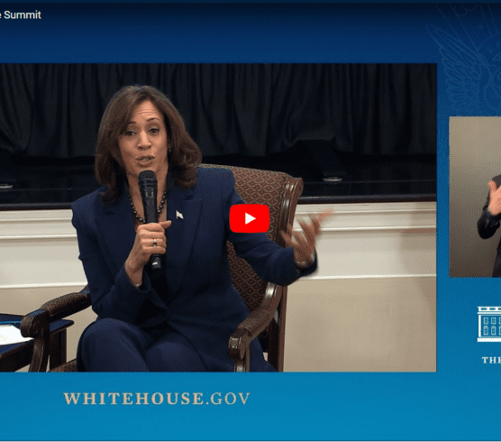 Screenshot Featuring Vice President Kamala Harris during White House Lead Pipe Summit via YouTube